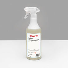 Load image into Gallery viewer, Detergente disinfettante Sandik conf. 12x750ml - Valtservice Grandi Impianti
